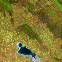 Imagen del satélite Landsat TM de la Laguna de Gallocanta (Zaragoza) (2)