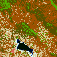 Imagen del satélite Landsat TM de la Laguna de Gallocanta (Zaragoza) (3)