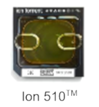 Ion 520™ Chip