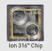 Ion 316™ Chip
