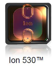 Ion 530™ Chip