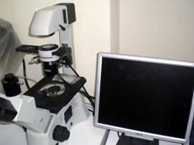 Microscopio Invertido MOTIC AE30/31