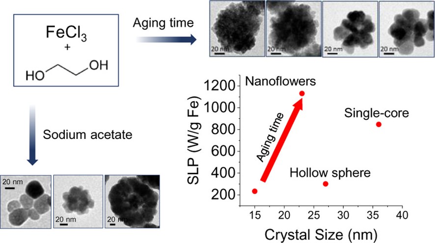 Formation Mechanism of Maghemite Nanoflowers Synthesized by a Polyol-Mediated Process