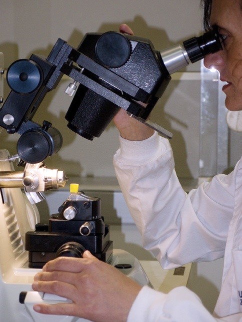 Servicio de microscopia electrónica de sistemas biológicos